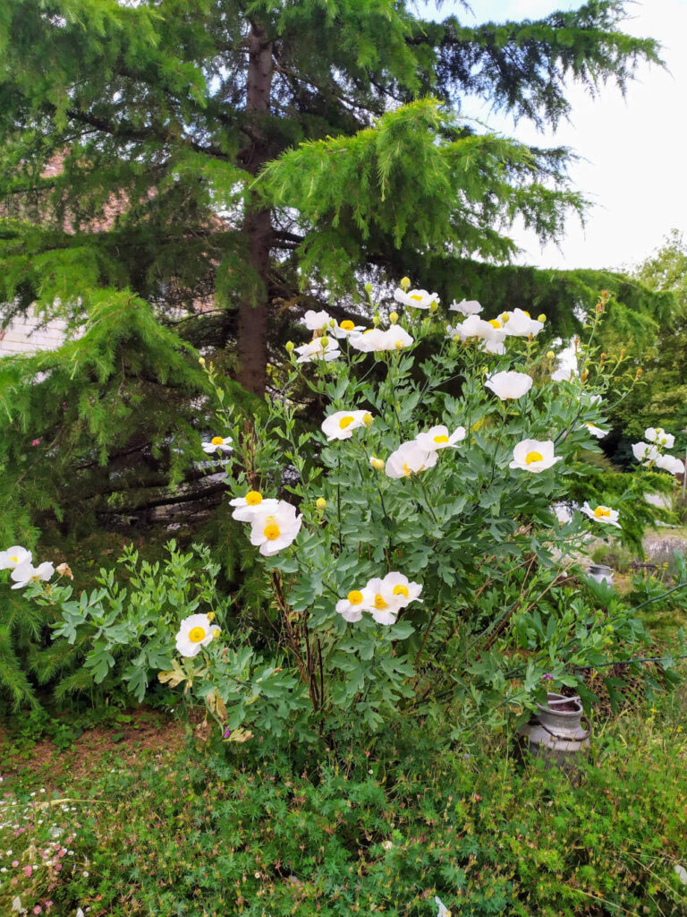 Au fil des quatre saisons