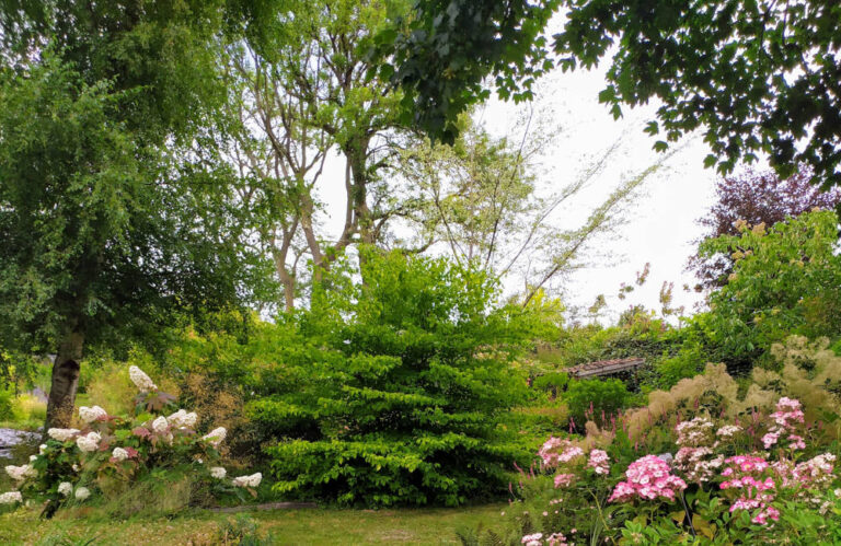 Flânerie au jardin Gardincour Septembre 2026