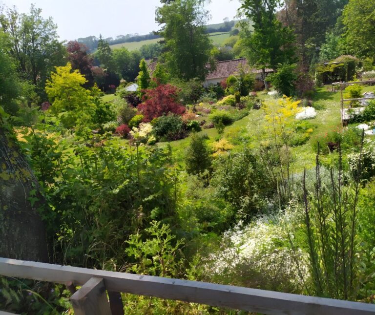 Plein la vue au jardin Gardincour Juin 2026