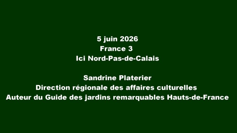 Gardincour à la télévision
